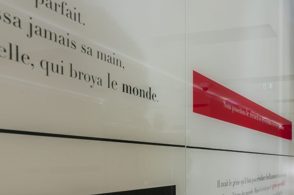 HALL D’ENTRÉE MENANT AUX LOGEMENTS / IMMEUBLE LE LYS ROUGE